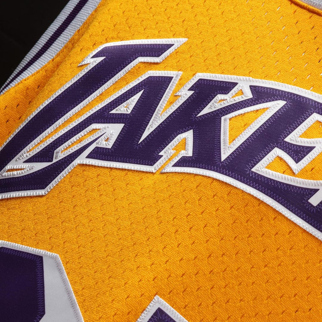 Los Angeles Lakers Magic Johnson Mitchell & Ness 1984/85 Hardwood Classics Swingman Jersey - Purple