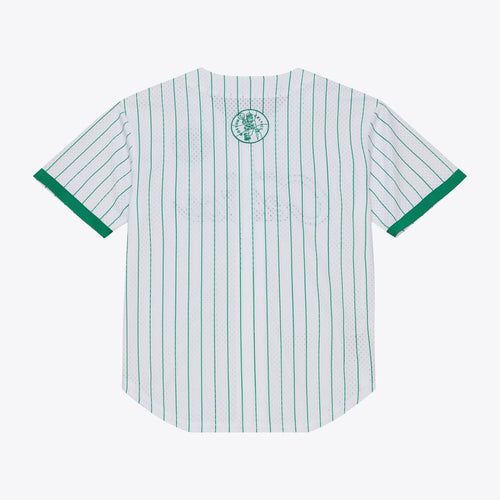 Boston Celtics Mitchell & Ness Head Coach Pinstripe Mesh Full - Button Baseball Jersey - White
