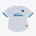 Minnesota Timberwolves Mitchell & Ness Head Coach Pinstripe Mesh Full - Button Baseball Jersey - White